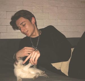 Ảnh đại diện của Mai Linh